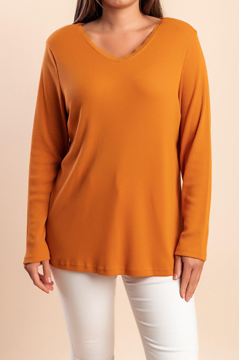Plus size top