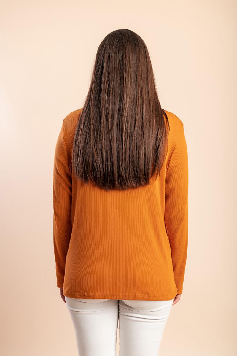 Plus size top