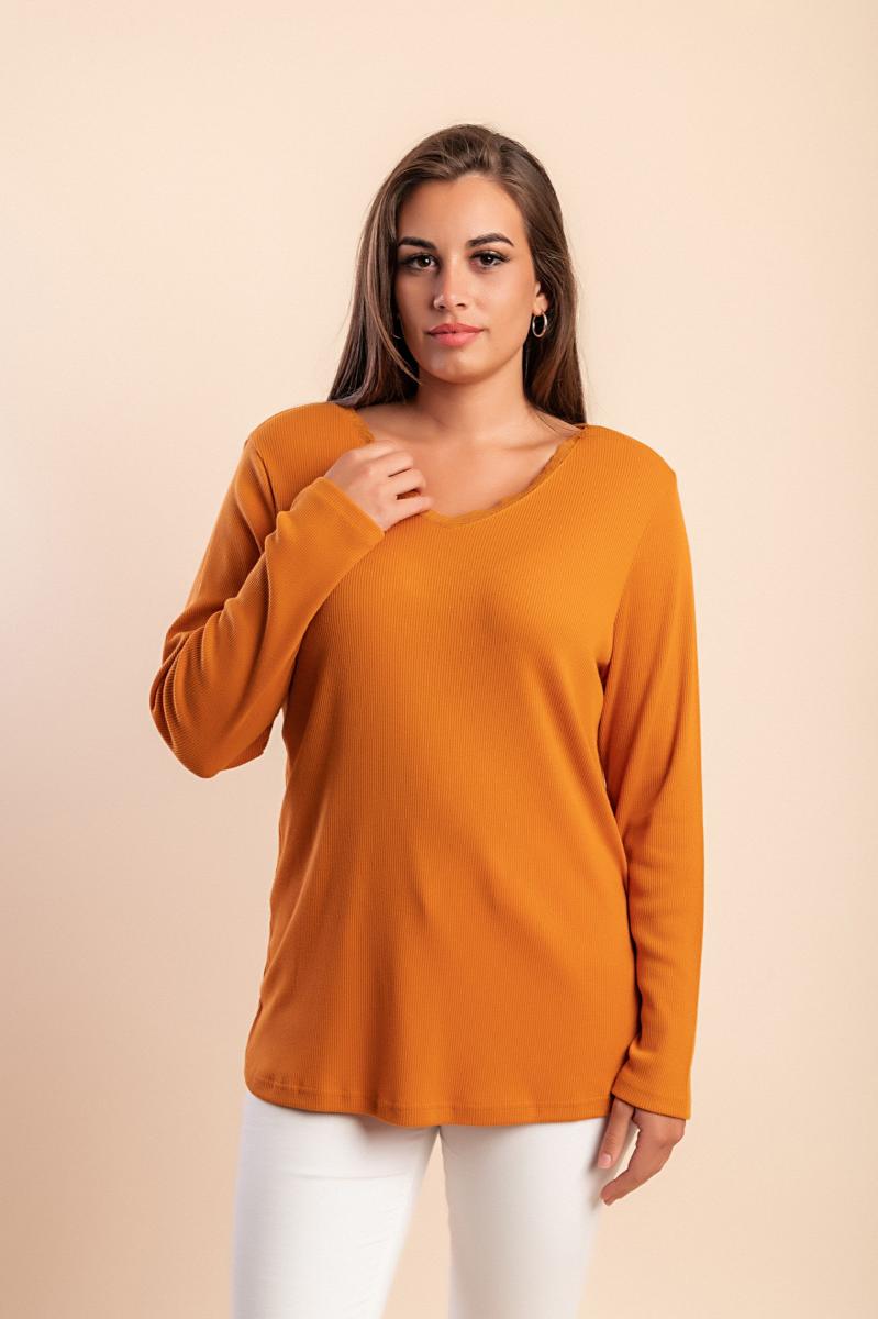 Plus size top
